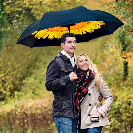 Deštník velký slunečnice